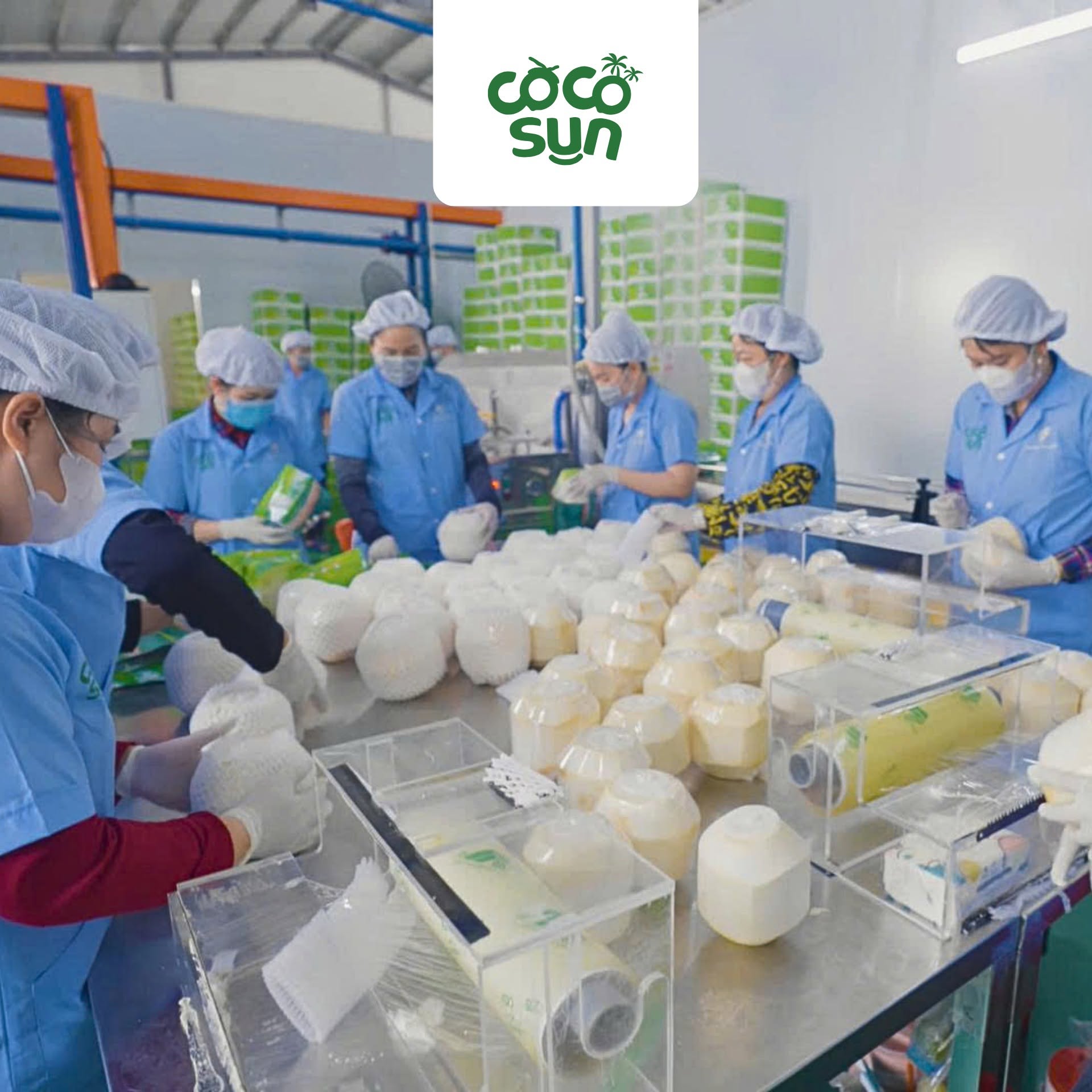 VietSun Holdings' factory